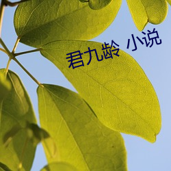 君九(九)龄(齡) 小(小)说