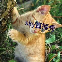 skyֱ ߣ