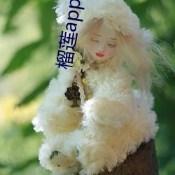 榴莲app旧(舊)版本安装