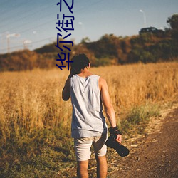 华尔街之狼未删减在线观看