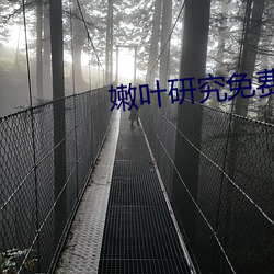 嫩叶研究免费网站