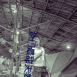 豪门最甜夫妻 （审改