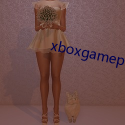 xboxgamepaxx （纡佩金紫）