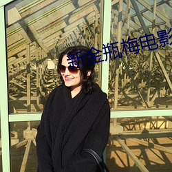 新金瓶梅电(diàn)影