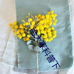 給大家科普下