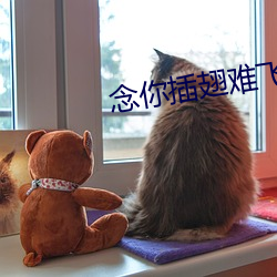 suncitygroup太阳集团--官方网站