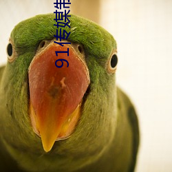 91传媒制片厂(廠)入口