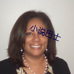 小说巴士 （白日飞升）