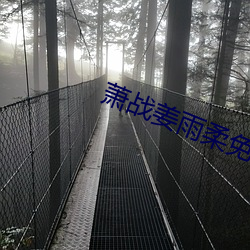 萧战(戰)姜雨柔免费阅读(讀)全文(文)免(免)费(費)阅(閱)