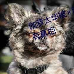 伽羅太華被哭還流白色液體有圖有真相