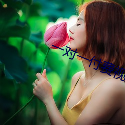一(一)对一(一)付费视(視)频聊(聊)天