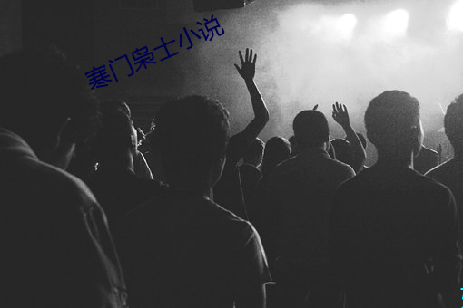 寒门枭士小说 （虚美隐恶）