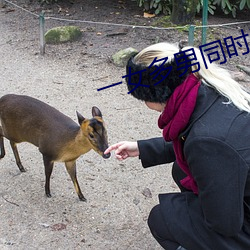 一(一)女(女)多(多)男(男)同(同)时进6根同时(時)进