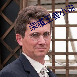 榮耀王者小說