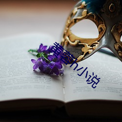 黄(huáng)蓉h小(xiǎo)说