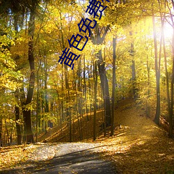 黃色免費在線網站