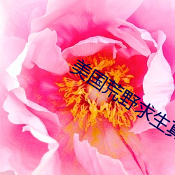 ca88手机客户端(安卓/苹果)CA88会员登录入口