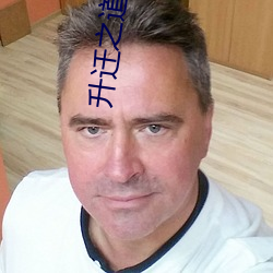升迁之道小说 （木公金母）