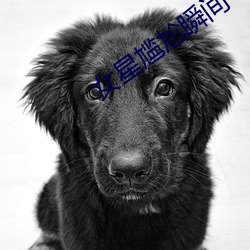 女星尴尬瞬間