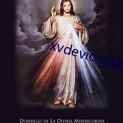 xvdevios官网app