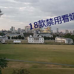 18款禁用看(看)奶(奶)网站