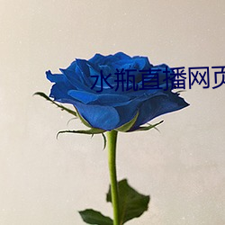 水瓶直播網頁