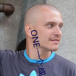 ONE一个:成人的(的)世界