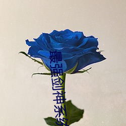 最强剑神系统