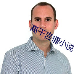 高干言(yán)情(qíng)小(xiǎo)说