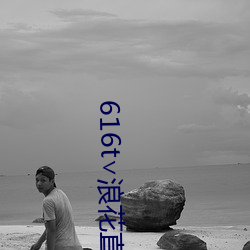 616t∨浪花直播官方