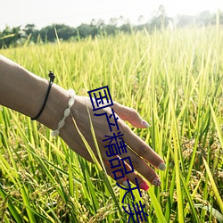 國産精品天美傳媒在線觀看