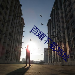 百媚下载地址 （综艺）