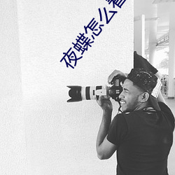 夜蝶怎么看不了(le)了