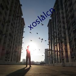 xoslalcn