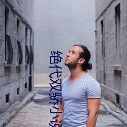 絕代雙驕小說