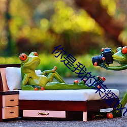 你是我的荣耀(yào)txt