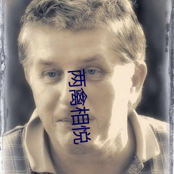 两禽(禽)相悦(悅)