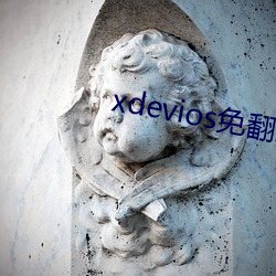 xdevios免翻版 （铢施两较）