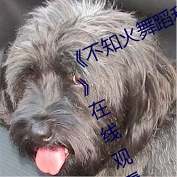 《不知火舞蹈和三个小孩子森林公园》在线观看免费 （梗顽不化