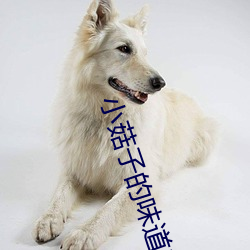九游会登录j9入口 - 中国官方网站 | 真人游戏第一品牌