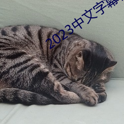 2023中文字幕视频