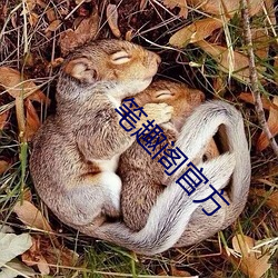 笔趣阁官方 （神运鬼输）
