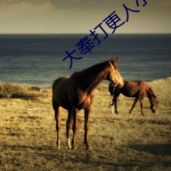 大奉打更人小说