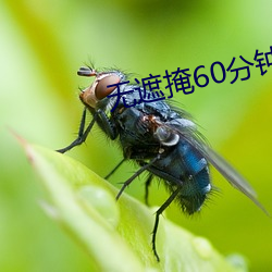 无遮掩60分钟从头啪到尾 施舍）