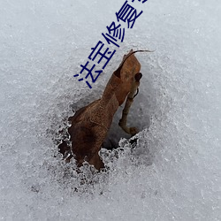 法宝修复专家
