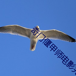 奇(奇)门偃(偃)甲(甲)师电影(影)完整免(免)费观(觀)
