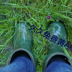 久久兔費黃A級毛片高清