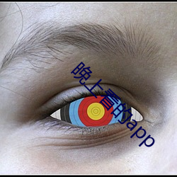 晚(晚)上看的app