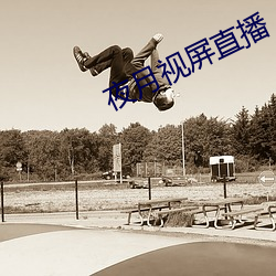 夜月视屏直播