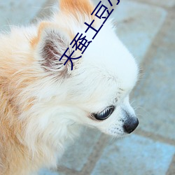 天蠶土豆小說